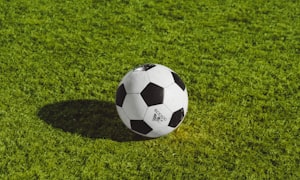 CS2 Major哥本哈根站：FaZe Clan成功卫冕，ropz获MVP